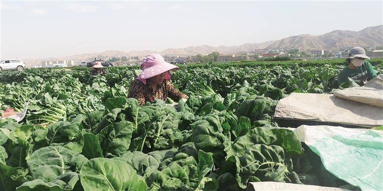 🌸快手短视频【2024新澳门正版免费资料】-谌贻琴在上海调研足球工作：推动足球发展重点城市创新突破  第3张