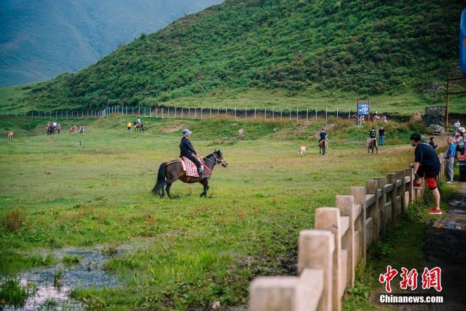 🌸美团【新澳2024年精准一肖一码】-科技赋能智慧城市建设 城市治理加快数字化转型  第3张