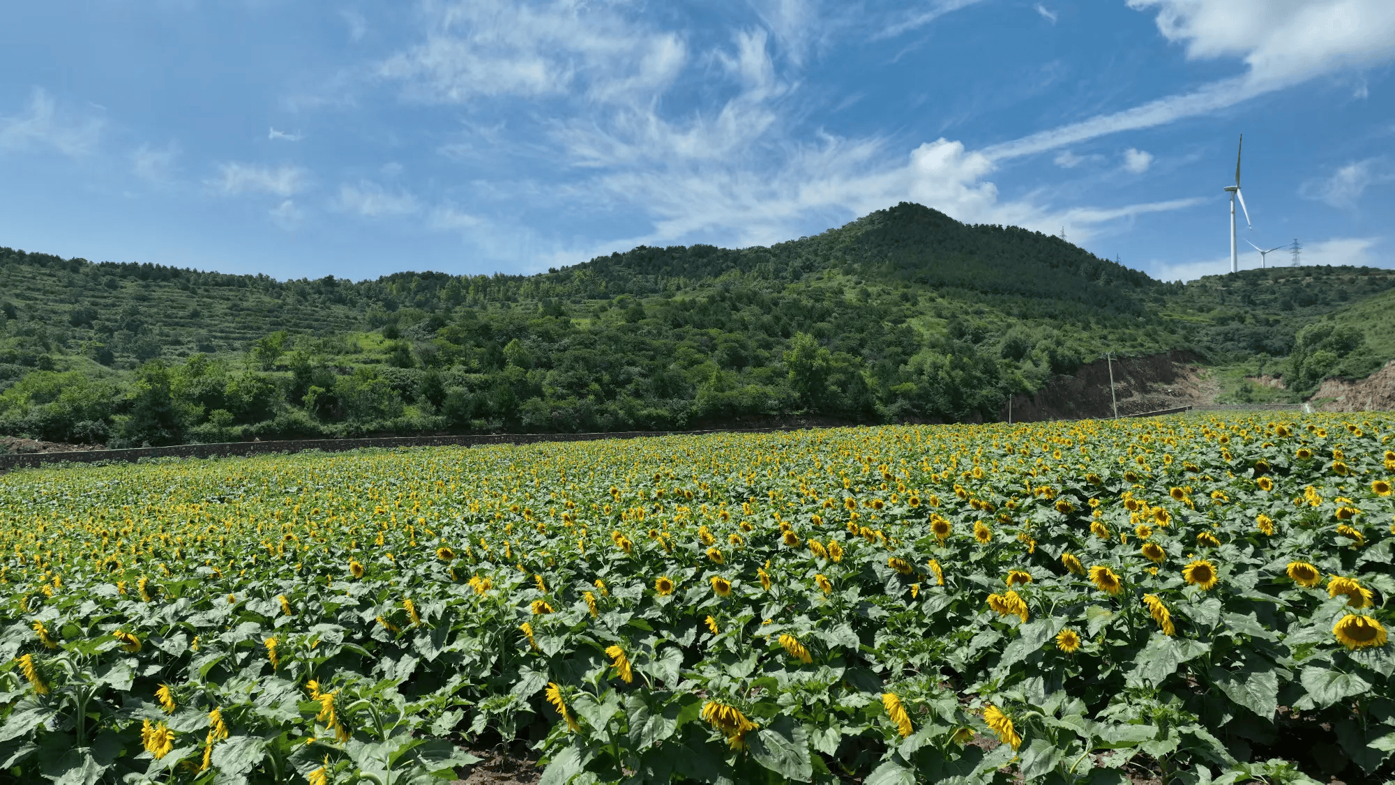 🌸新浪【494949澳门今晚开什么】-三棱股份取得一种城市安全监测预警方法及系统专利，提高城市安全监测效果