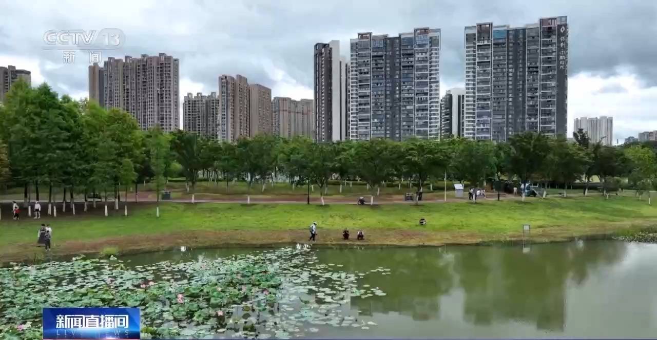 🌸小咖秀短视频【澳门一肖一码精准100王中王】-城东区城市管理局：拆除废弃电线杆 美化市容除隐患  第6张